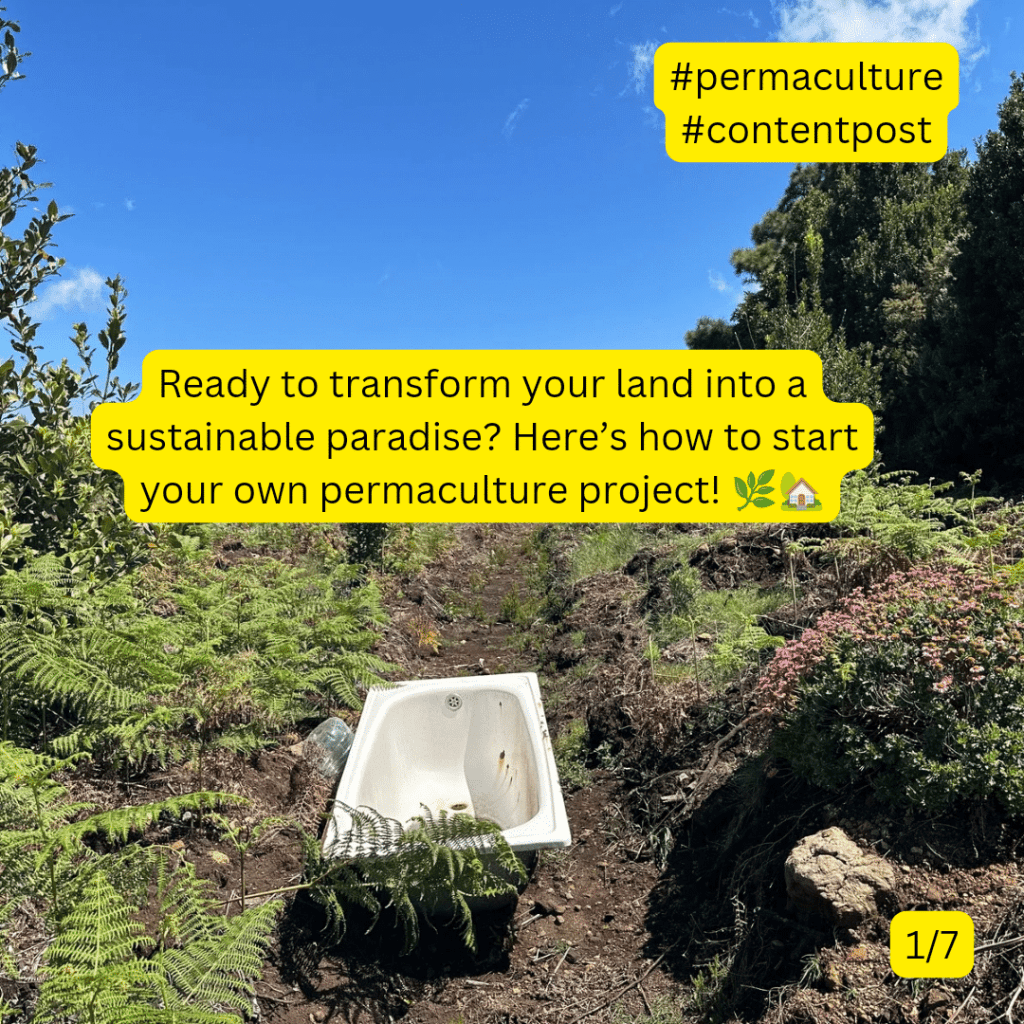 #permaculture #projectdevelopment