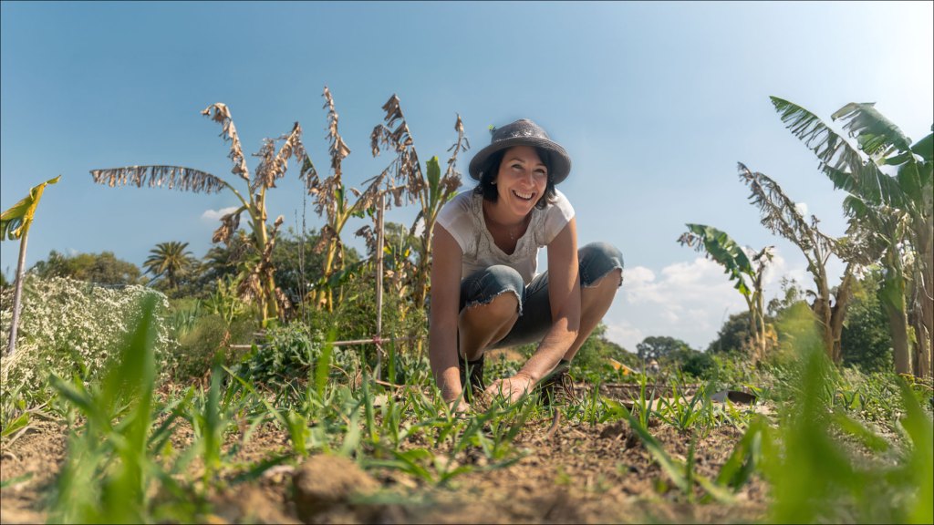 permaculture key to better world