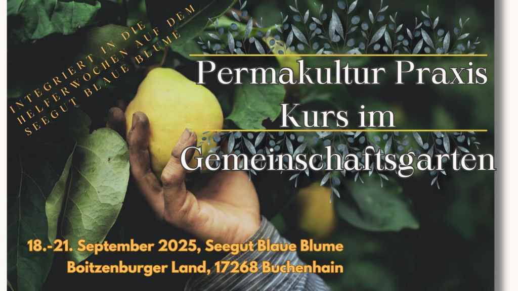 PErmakultur_Praxiskursa